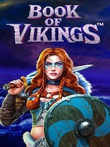 Spelcover van Book of Vikings®